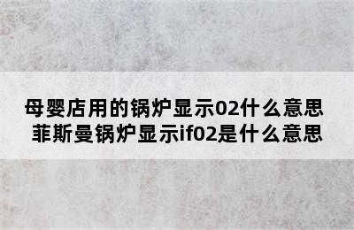 母婴店用的锅炉显示02什么意思 菲斯曼锅炉显示if02是什么意思